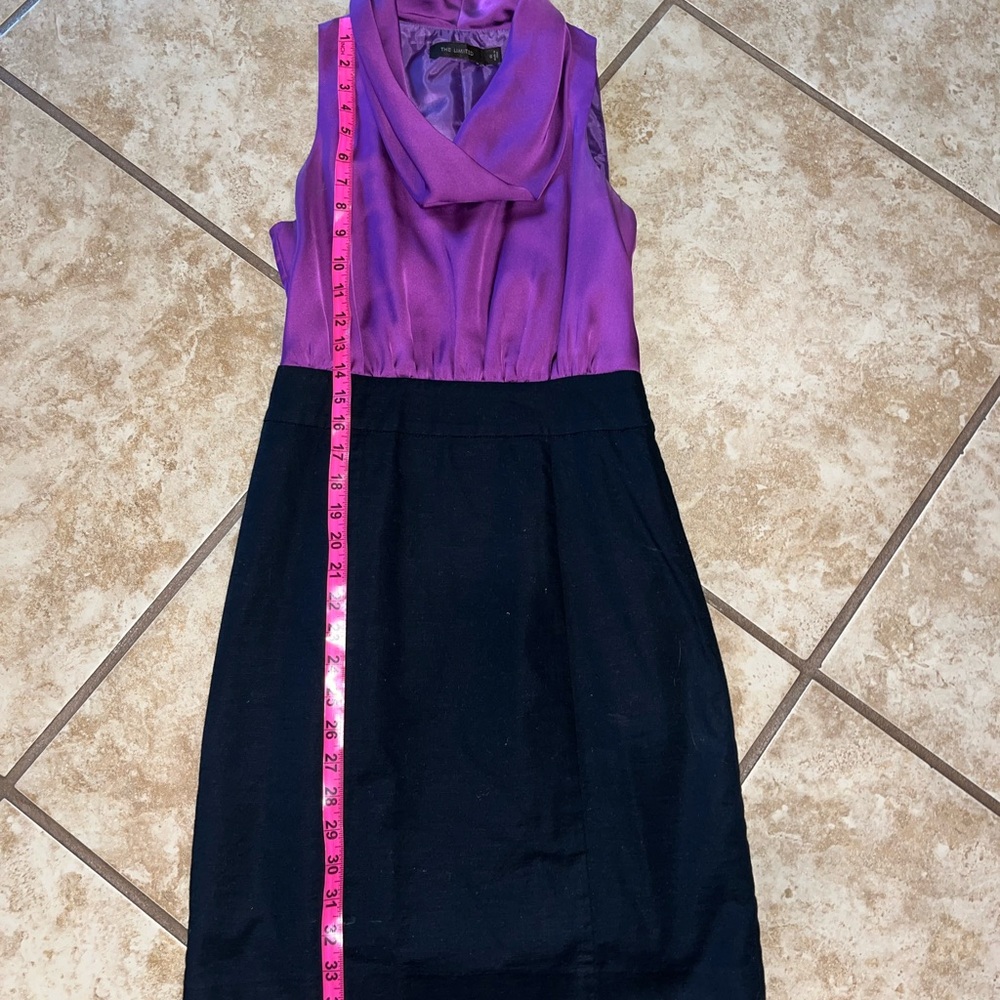 The Limited Purple and Black Dress